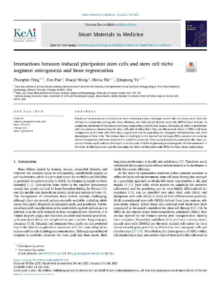 Interactions between induced pluripotent stem cells and stem cell niche